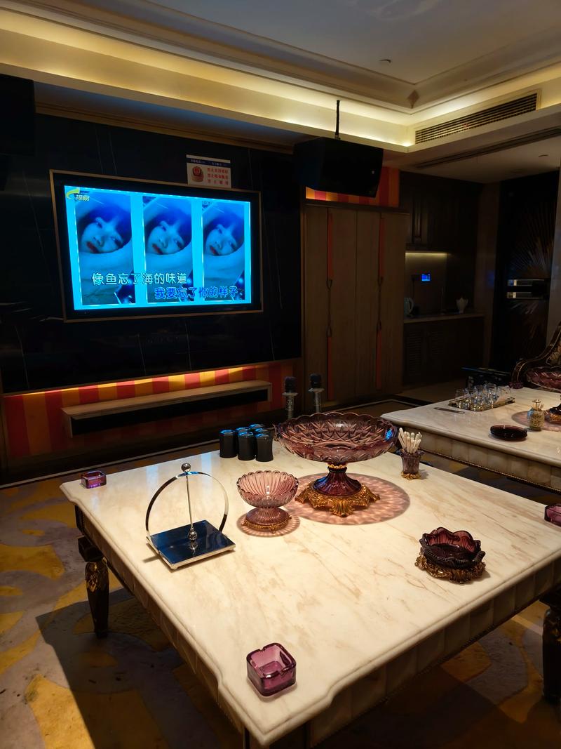 成都商务KTV优质推荐-温江区ktv预定